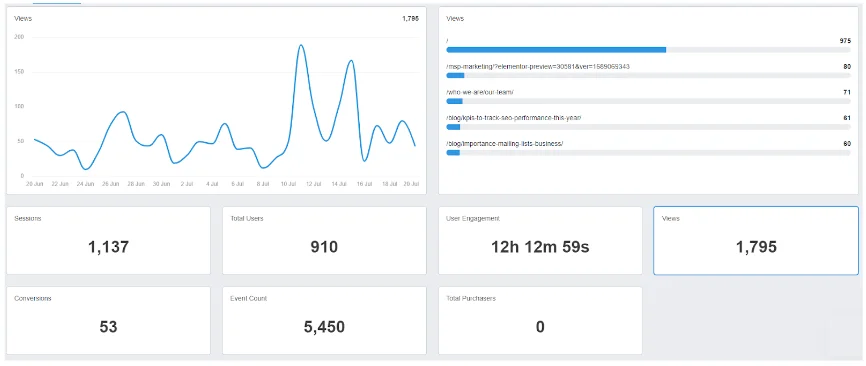 visitor metrics