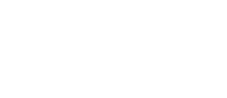 wt logo white.png